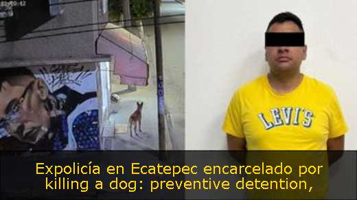 Expolicía en Ecatepec encarcelado por killing a dog: preventive detention
