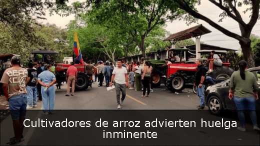 Cultivadores de arroz advierten huelga inminente 