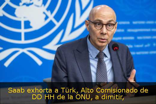 Saab exhorta a Türk, Alto Comisionado de DD HH de la ONU, a dimitir