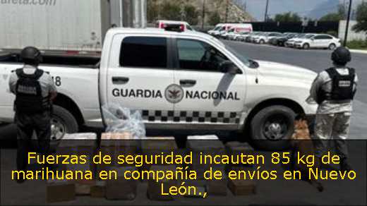 Fuerzas de seguridad incautan 85 kg de marihuana en compañía de envíos en Nuevo León
