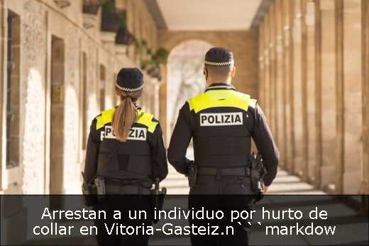 Arrestan a un individuo por hurto de collar en Vitoria-Gasteiz.n```markdow
