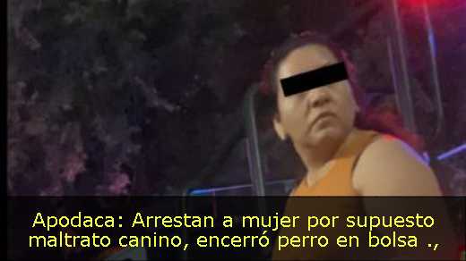 Apodaca: Arrestan a mujer por supuesto maltrato canino, encerró perro en bolsa 