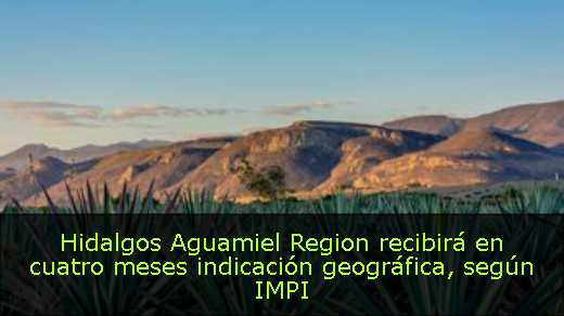 Hidalgos Aguamiel Region recibirá en cuatro meses indicación geográfica, según IMPI 