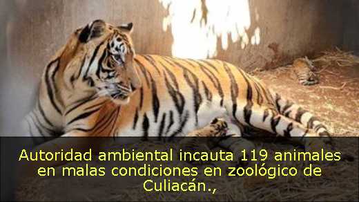 Autoridad ambiental incauta 119 animales en malas condiciones en zoológico de Culiacán