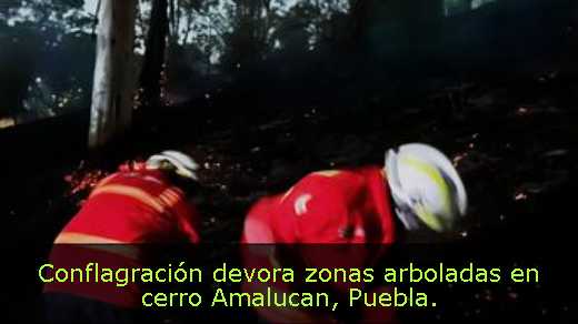 Conflagración devora zonas arboladas en cerro Amalucan, Puebla