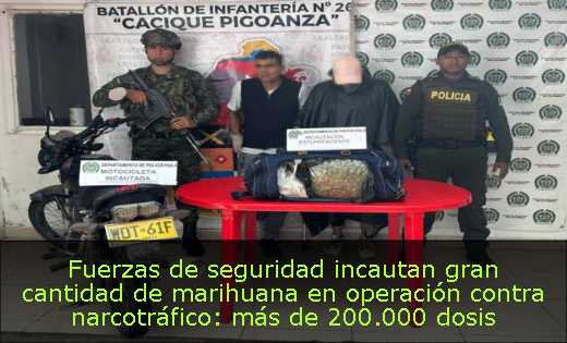 Fuerzas de seguridad incautan gran cantidad de marihuana en operación contra narcotráfico: más de 200.000 dosis decomisadas