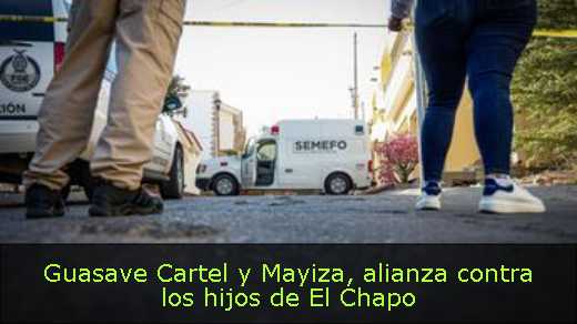 Guasave Cartel y Mayiza, alianza contra los hijos de El Chapo