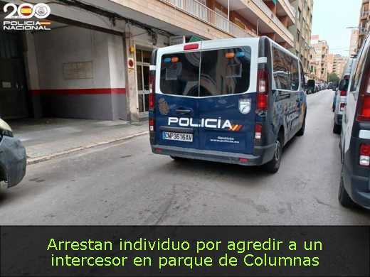 Arrestan individuo por agredir a un intercesor en parque de Columnas 