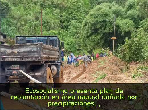 Ecosocialismo presenta plan de replantación en área natural dañada por precipitaciones. 