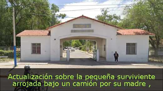 Actualización sobre la pequeña surviviente arrojada bajo un camión por su madre 
