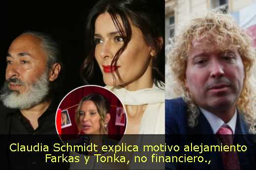 Claudia Schmidt explica motivo alejamiento Farkas y Tonka, no financiero