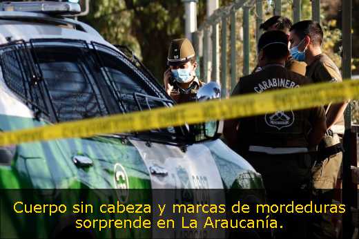 Cuerpo sin cabeza y marcas de mordeduras sorprende en La Araucanía