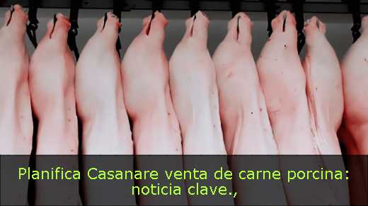 Planifica Casanare venta de carne porcina: noticia clave