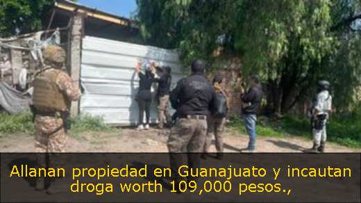 Allanan propiedad en Guanajuato y incautan droga worth 109,000 pesos