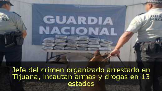 Jefe del crimen organizado arrestado en Tijuana, incautan armas y drogas en 13 estados 
