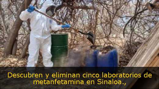 Descubren y eliminan cinco laboratorios de metanfetamina en Sinaloa