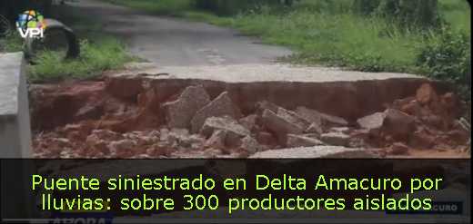 Puente siniestrado en Delta Amacuro por lluvias: sobre 300 productores aislados