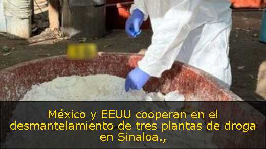 México y EEUU cooperan en el desmantelamiento de tres plantas de droga en Sinaloa