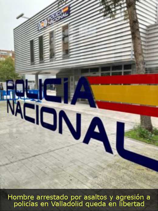 Hombre arrestado por asaltos y agresión a policías en Valladolid queda en libertad 