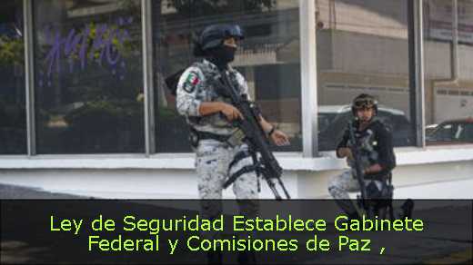 Ley de Seguridad Establece Gabinete Federal y Comisiones de Paz 