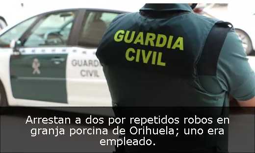 Arrestan a dos por repetidos robos en granja porcina de Orihuela; uno era empleado. 