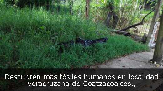 Descubren más fósiles humanos en localidad veracruzana de Coatzacoalcos