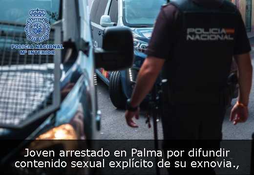 Joven arrestado en Palma por difundir contenido sexual explícito de su exnovia