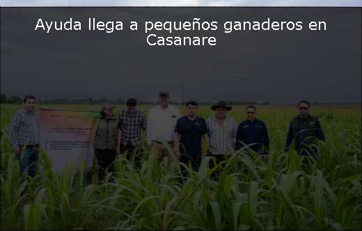 Ayuda llega a pequeños ganaderos en Casanare 