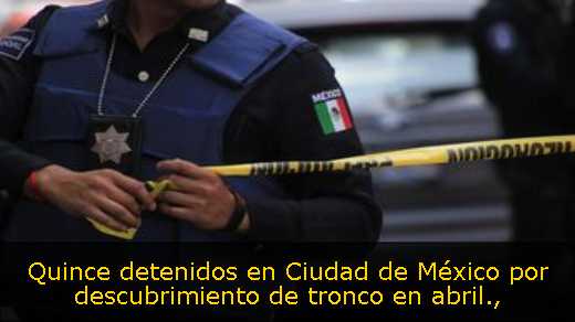 Quince detenidos en Ciudad de México por descubrimiento de tronco en abril