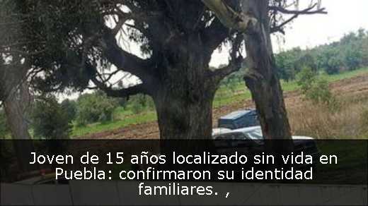 Joven de 15 años localizado sin vida en Puebla: confirmaron su identidad familiares. 