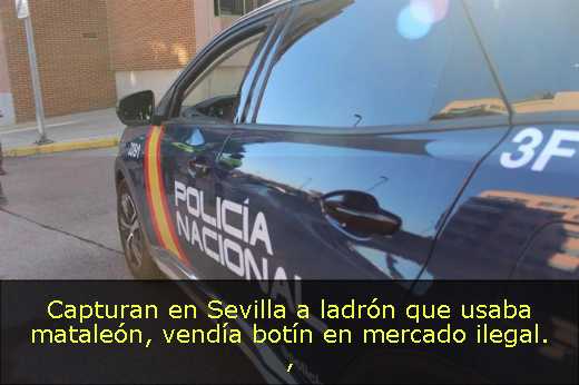 Capturan en Sevilla a ladrón que usaba mataleón, vendía botín en mercado ilegal. 