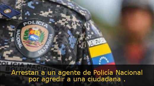 Arrestan a un agente de Policía Nacional por agredir a una ciudadana 