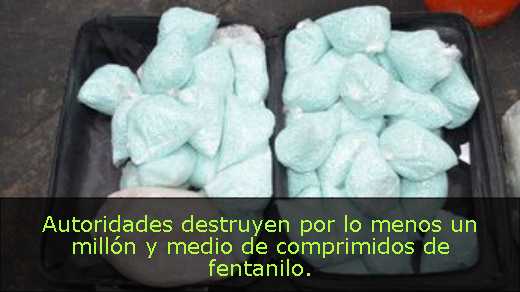 Autoridades destruyen por lo menos un millón y medio de comprimidos de fentanilo. 