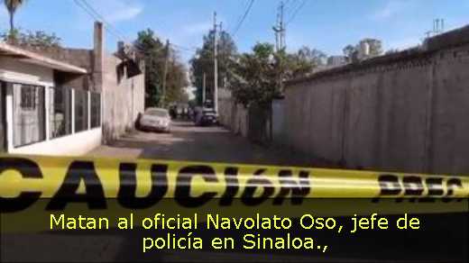 Matan al oficial Navolato Oso, jefe de policía en Sinaloa