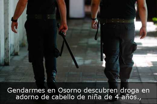 Gendarmes en Osorno descubren droga en adorno de cabello de niña de 4 años