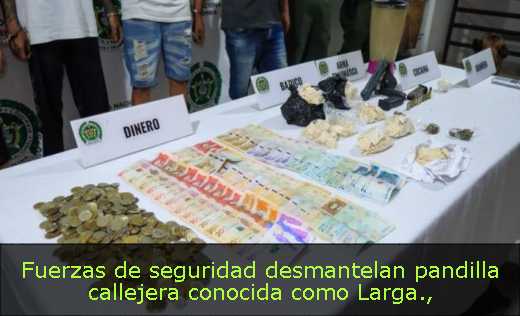 Fuerzas de seguridad desmantelan pandilla callejera conocida como Larga