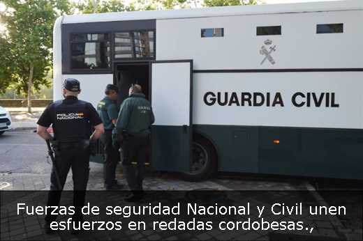 Fuerzas de seguridad Nacional y Civil unen esfuerzos en redadas cordobesas