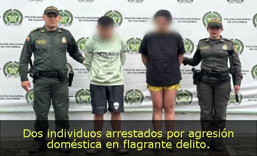Dos individuos arrestados por agresión doméstica en flagrante delito