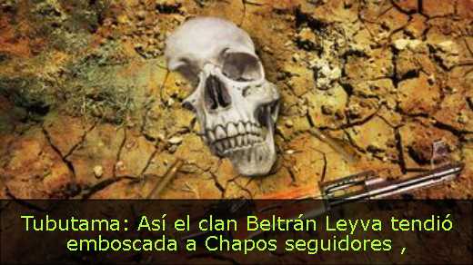 Tubutama: Así el clan Beltrán Leyva tendió emboscada a Chapos seguidores 