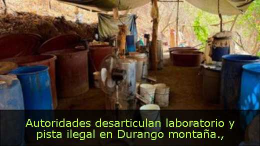 Autoridades desarticulan laboratorio y pista ilegal en Durango montaña