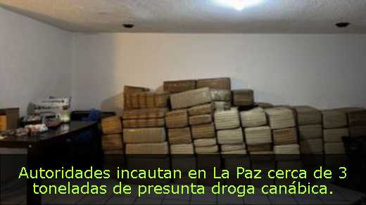 Autoridades incautan en La Paz cerca de 3 toneladas de presunta droga canábica. 