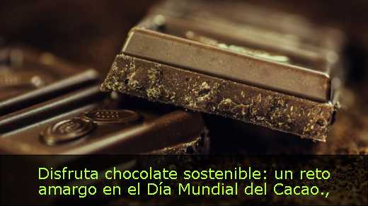 Disfruta chocolate sostenible: un reto amargo en el Día Mundial del Cacao