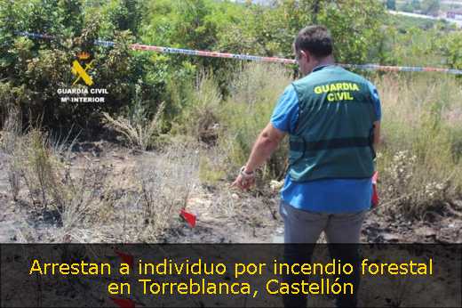 Arrestan a individuo por incendio forestal en Torreblanca, Castellón 