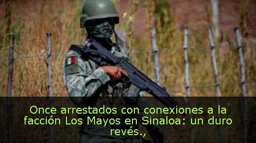 Once arrestados con conexiones a la facción Los Mayos en Sinaloa: un duro revés