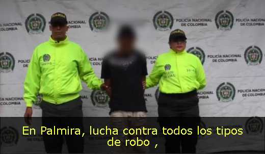 En Palmira, lucha contra todos los tipos de robo 