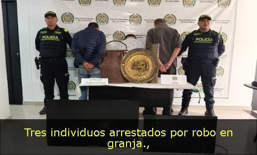 Tres individuos arrestados por robo en granja