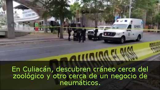 En Culiacán, descubren cráneo cerca del zoológico y otro cerca de un negocio de neumáticos