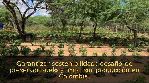 Garantizar sostenibilidad: desafío de preservar suelo y impulsar producción en Colombia