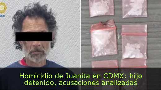 Homicidio de Juanita en CDMX: hijo detenido, acusaciones analizadas 