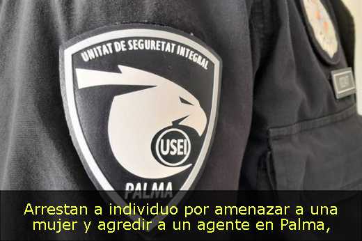 Arrestan a individuo por amenazar a una mujer y agredir a un agente en Palma
